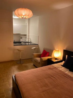 Studio confort près du Lac Geneva
